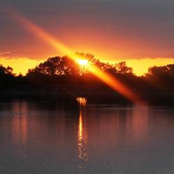 sunset-122980_1280.jpg [(c): Pixabay]